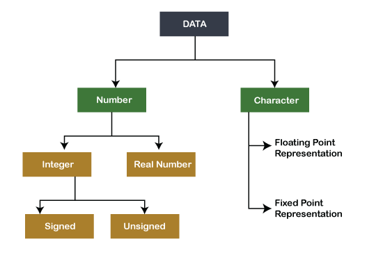 data representation in computer organization pdf